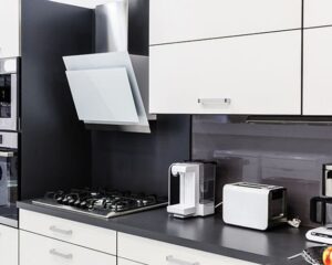 Royal modular kitchens small design